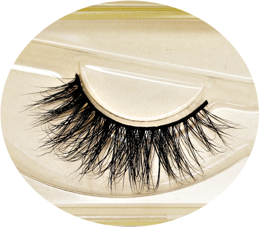 Download Transparent False Eyelashes Clipart Eyelash Extensions
