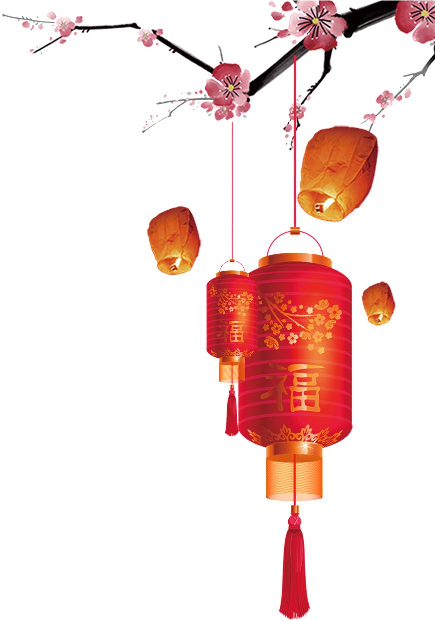 Download Lantern Transparent Picture Hanging On Plum Tree - Chinese New