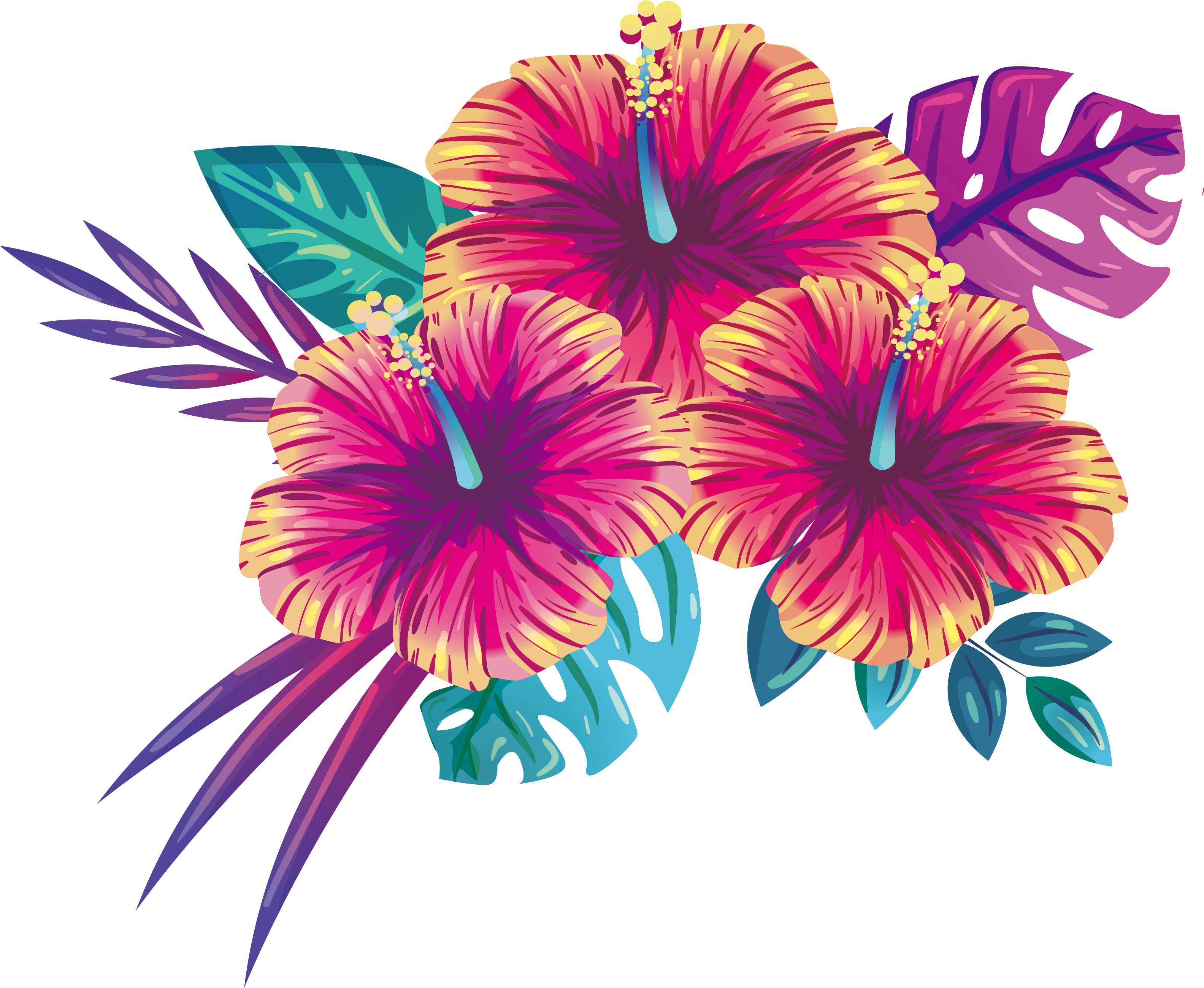 Download Summer Flowers Blooming Free Clipart Hq Clipart Blooming 