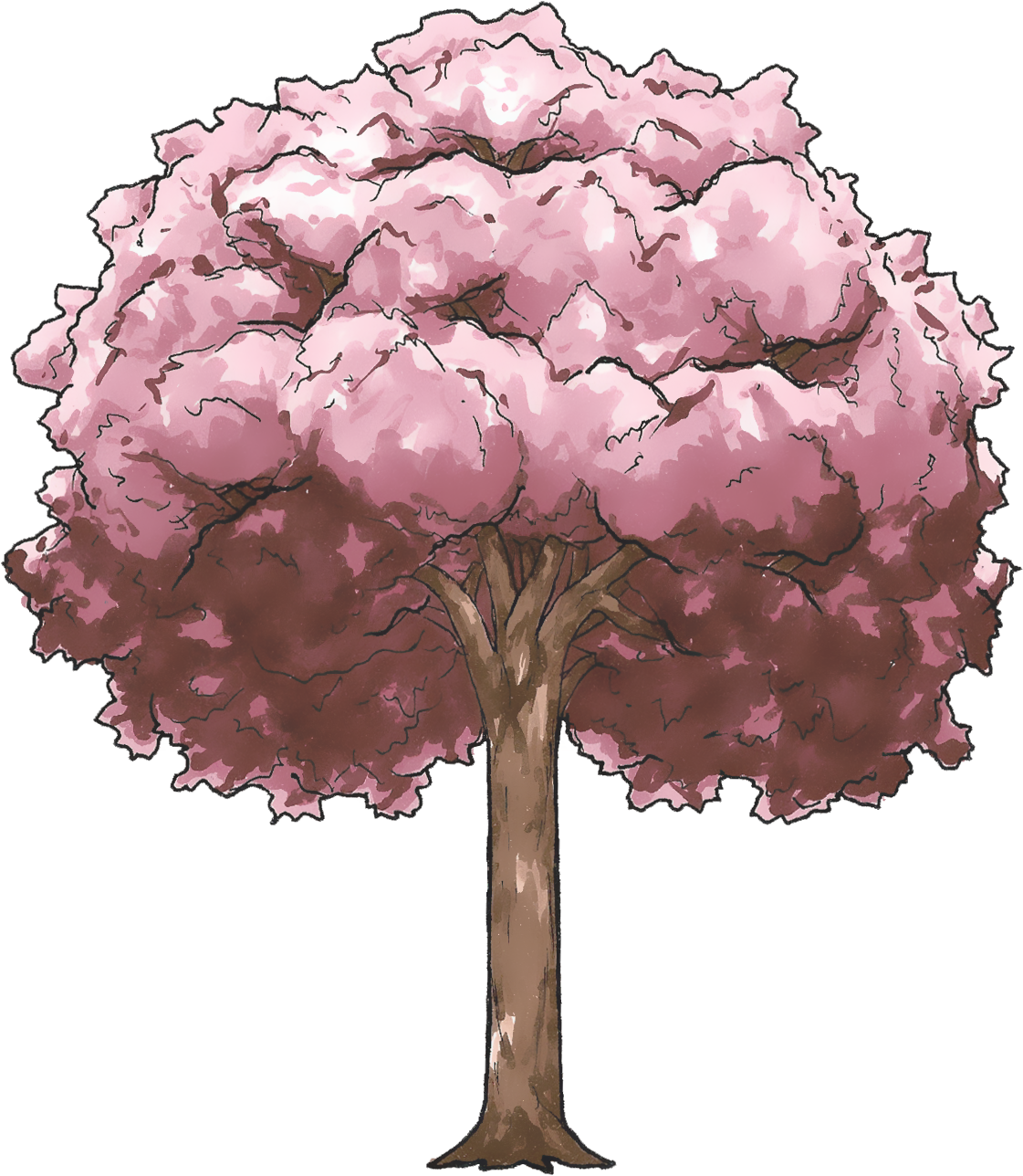 Download Transparent Sakura Clipart - Anime Cherry Blossom Tree