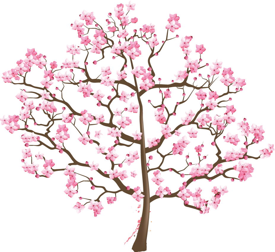 Розовое дерево без листьев. Сакура дерево. Цветущее дерево на белом фоне. Сакура дерево на белом фоне. Цветущие деревья на прозрачном фоне.