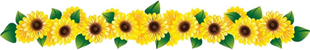 Download Sunflowers Row Transparent - Transparent Row Of Flowers