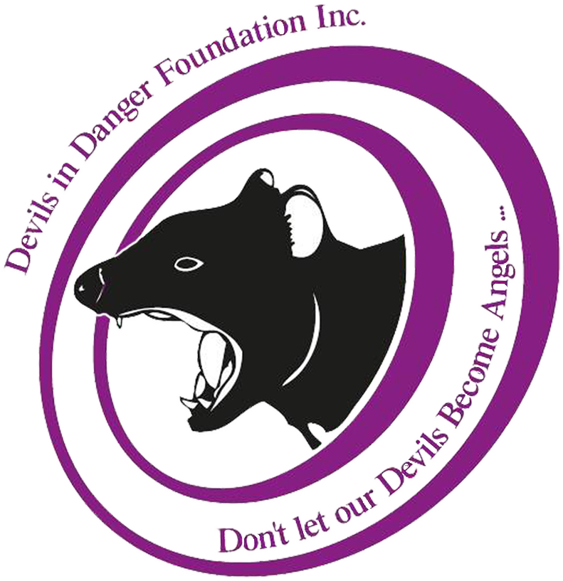 Download Transparent Tasmanian Devil Png - Tasmanian Devil Foundation
