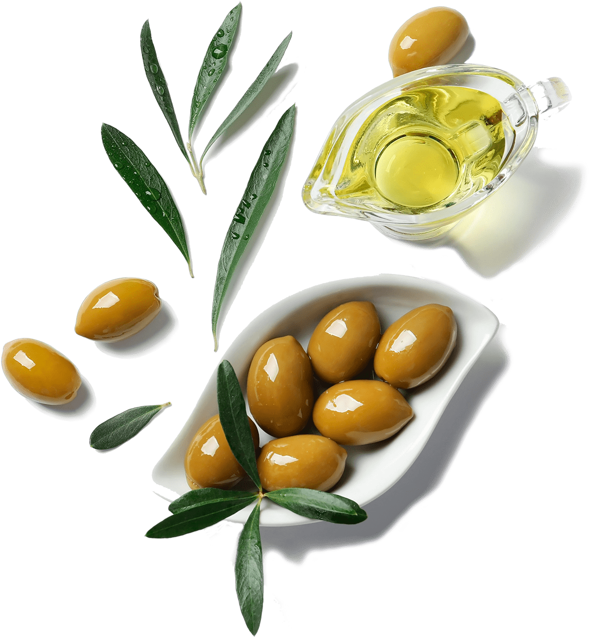 Download Transparent Olive Leaves Png Olive ClipartKey
