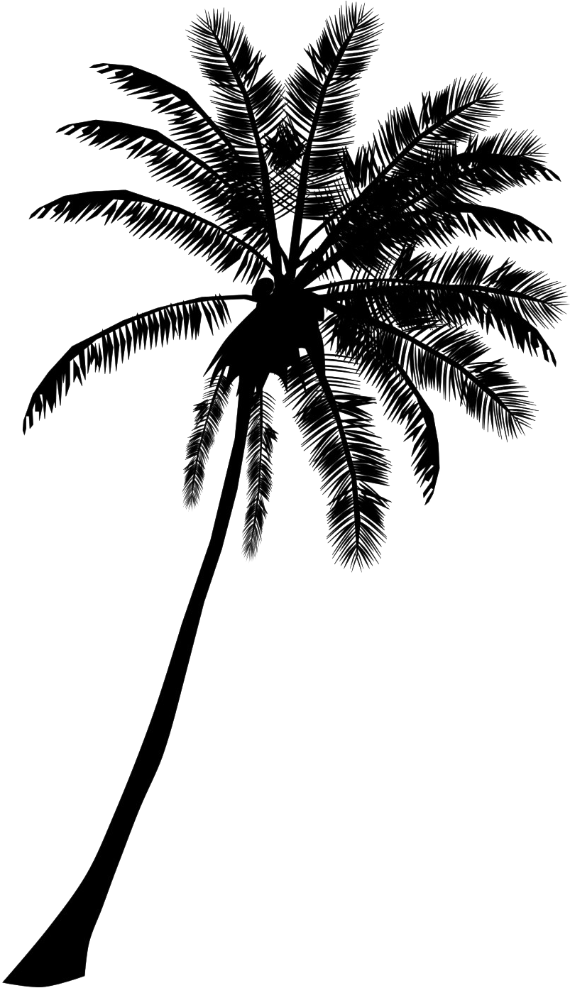 Download Black Palm Tree Png Hd Quality Palm Tree Silhouette Clipart