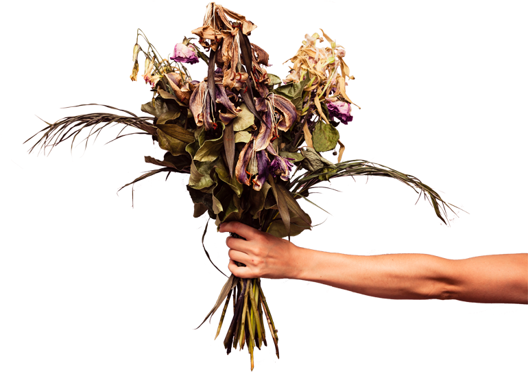Download Dead Flower Png Dead Flowers ClipartKey