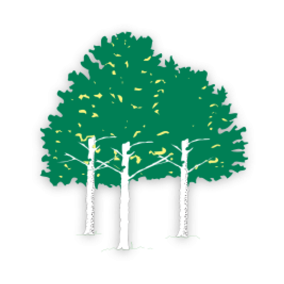 Download Aspen Ridge Golf Course Sabal Palmetto ClipartKey