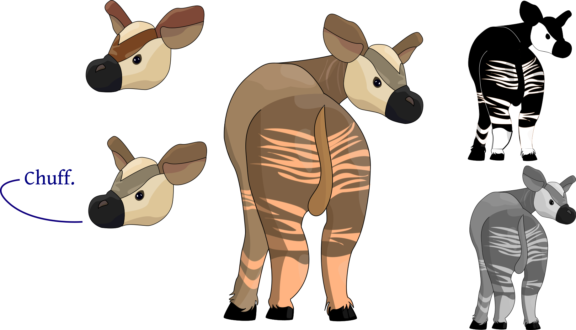 Download Preview - Okapi Animation - ClipartKey