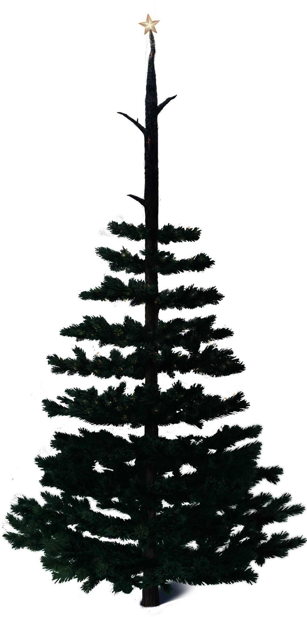 Download Charlie Brown Christmas Tree Clipart ClipartKey