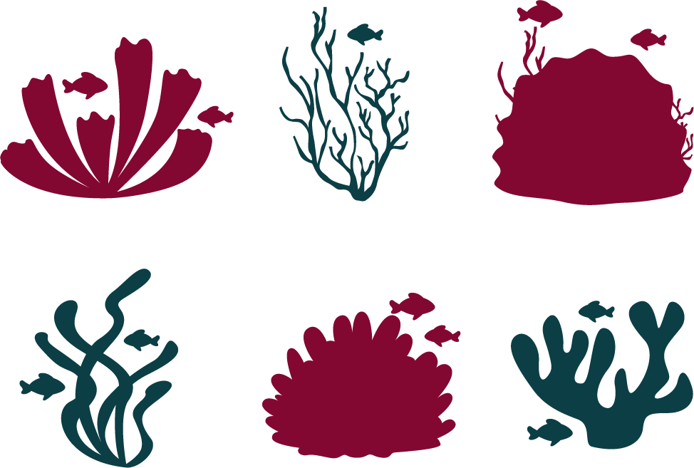 Download Transparent Coral Reef Fish Clipart - Coral Reef Icon Vector ...