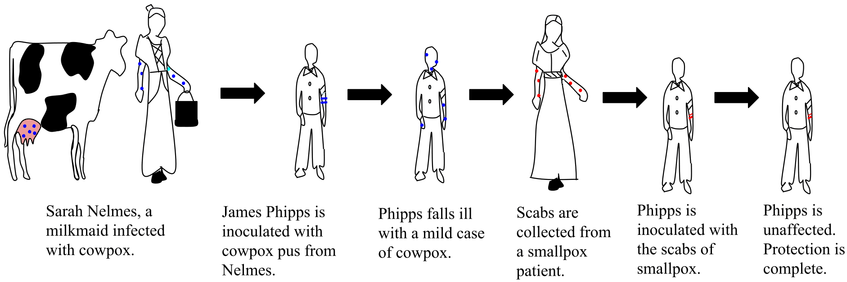 Download Smallpox Drawing Small Pox Edward Jenner Vaccine ClipartKey