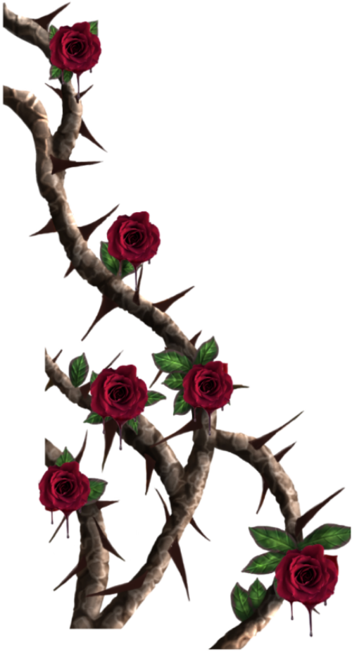 Download Thorn Vine Png , Transparent Cartoons - Rose Thorns Png