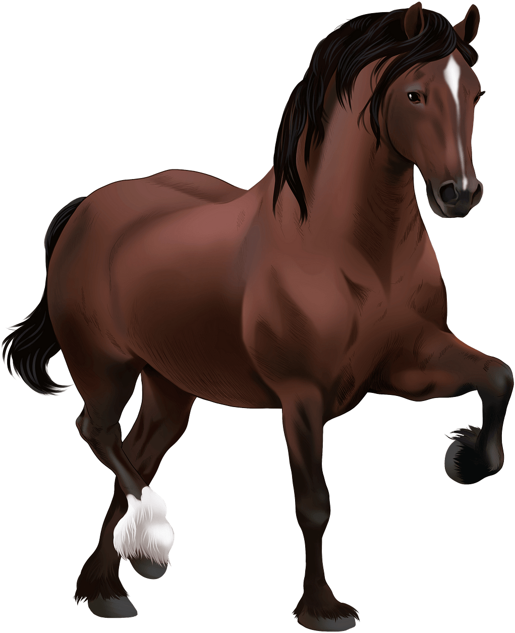 Download Stallion ClipartKey download-stallion-clipartkey