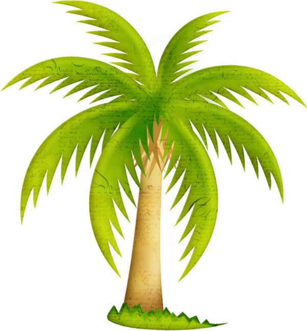 Download California Palm Palm Trees Clip Art Mexican Fan Palm Palm Tree Clip Art Clipartkey 