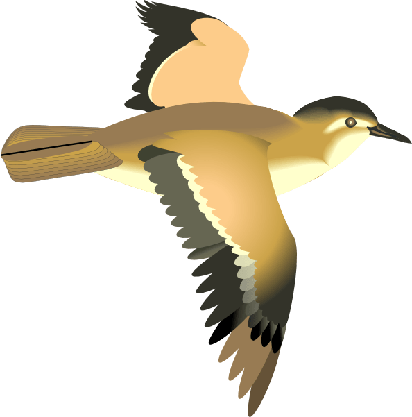 Download Animated Flying Bird Png Clipart , Png Download - Transparent