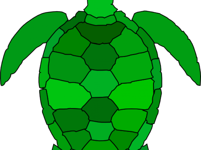 Download Green Turtle Cliparts - Sea Turtle Clip Art - ClipartKey