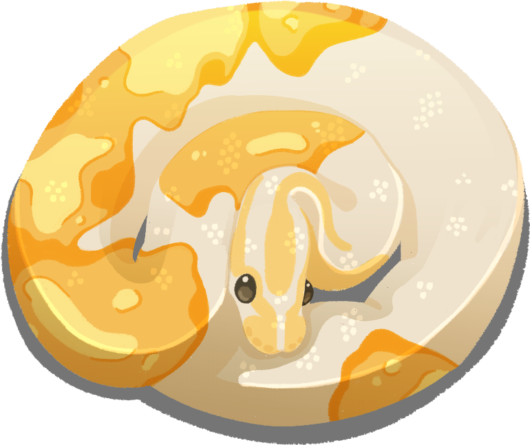 Download Snefbun - Ball Python Designs Logo - ClipartKey