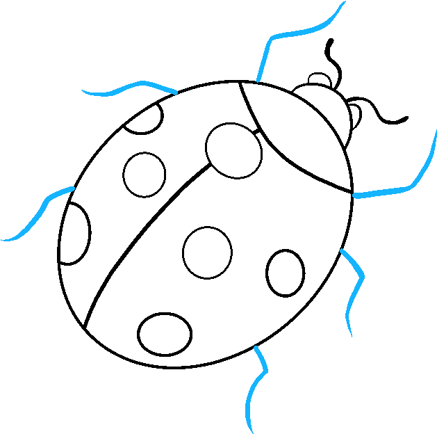 Download How To Draw A Ladybug - Line Art - ClipartKey