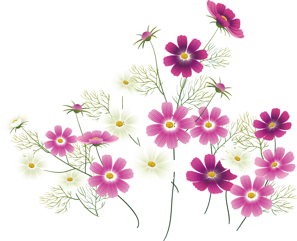 Download Transparent Wild Flower Clipart - Pink Wildflower ...