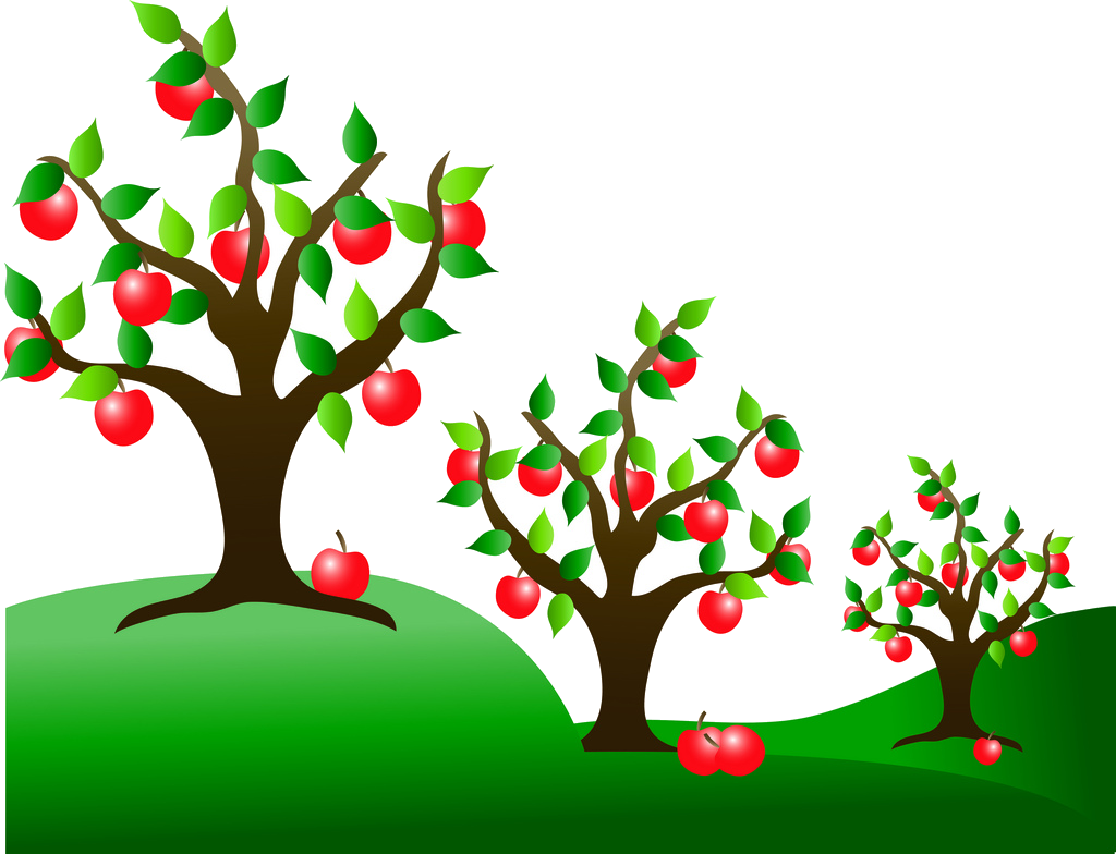 Download Apple Tree Fruit Trees Clipart Free Cliparts Images Apple