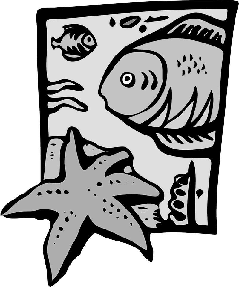 Download Clip Art Marine Biology Png Download Clip Art On Marine Download Clip Art Marine Biology Png Download Clip Art On Marine