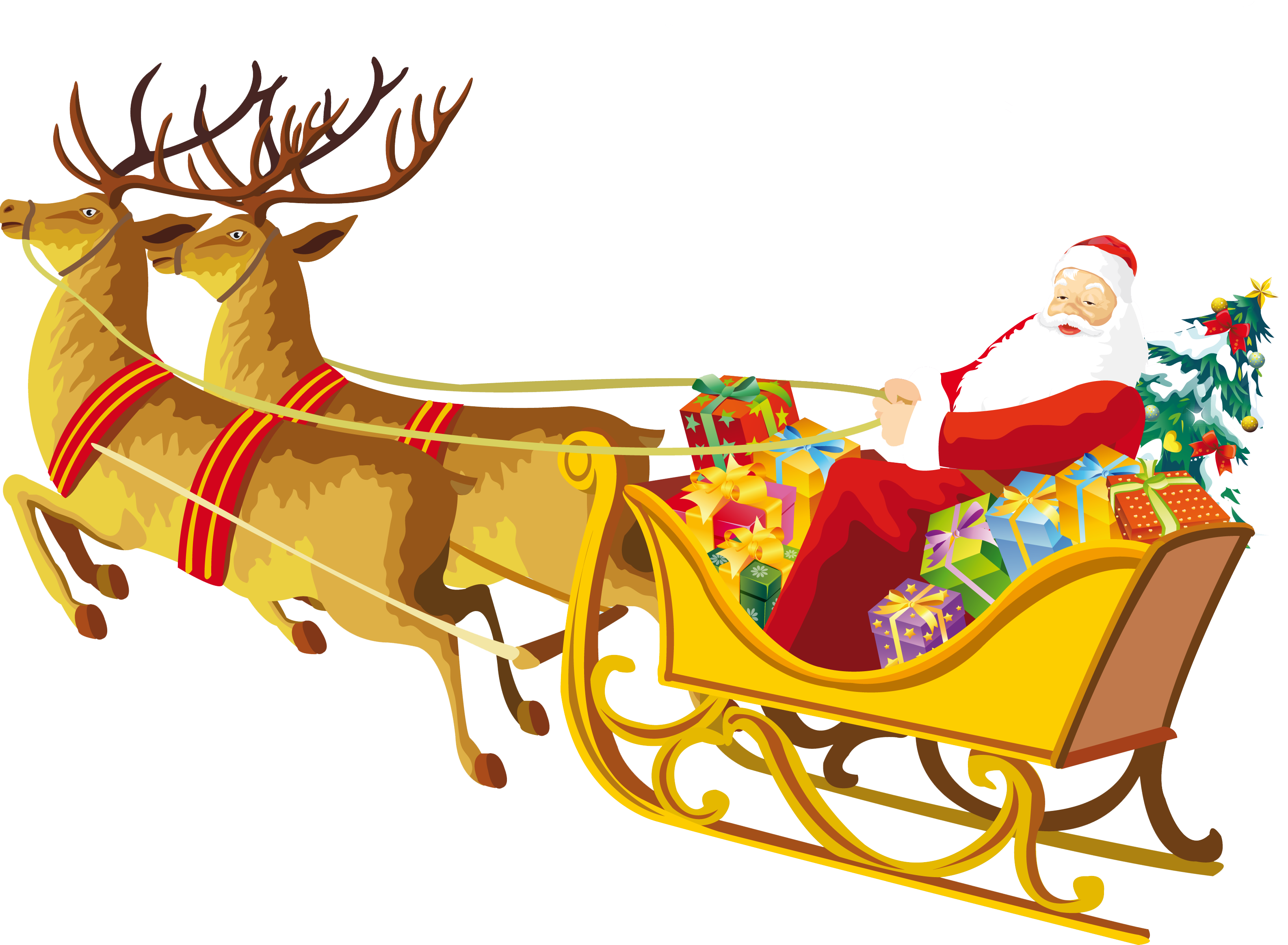 reindeer sleigh reindeer sleigh