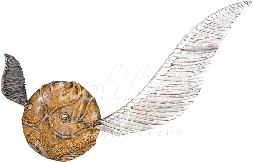 Download Transparent Golden Snitch Png ClipartKey Download Transparent Golden Snitch Png ClipartKey