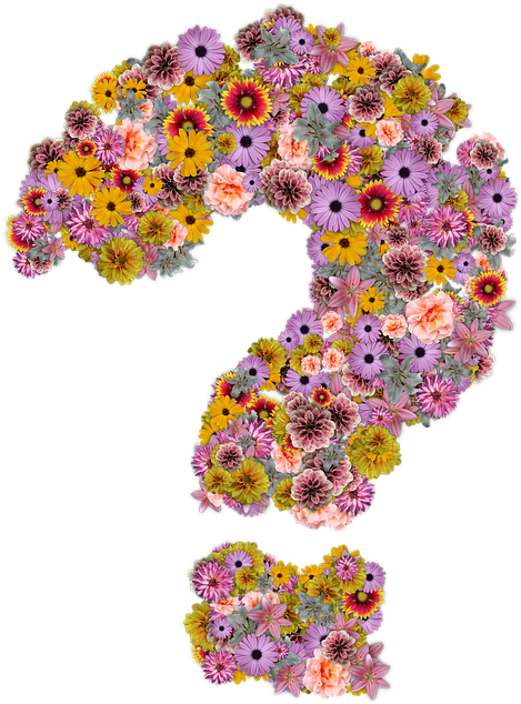 Download Transparent Flower Question Mark - ClipartKey