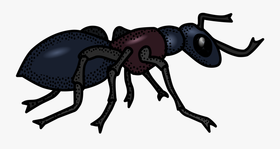 Carpenter Clipart Colonial - Clip Art Black And White Ant, Transparent Clipart