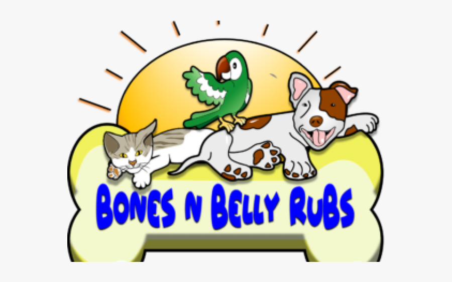 Domestic Short-haired Cat, Transparent Clipart