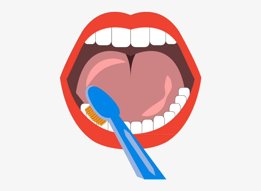 Teeth Brushing Png, Transparent Clipart