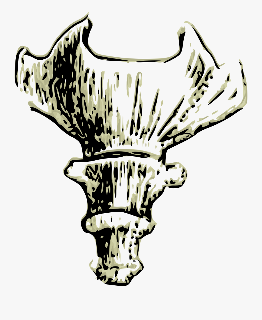 Clipart - Coccyx Clipart Png, Transparent Clipart