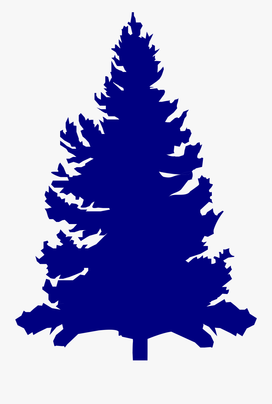 Pine Tree Vector 7, Buy Clip Art - Pinus Vector Png, Transparent Clipart