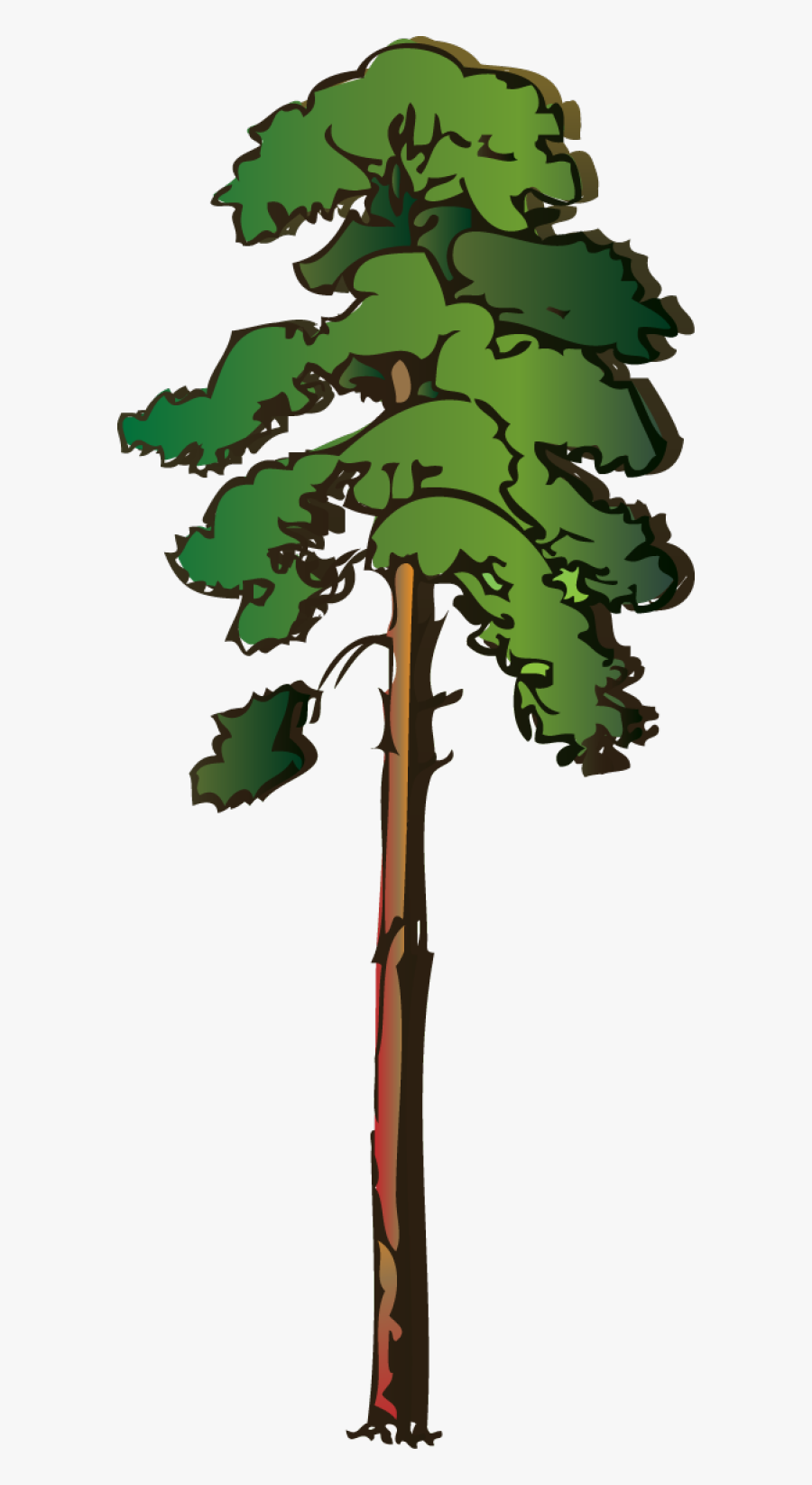 Forest Clipart Pine Tree - Redwood Tree Clipart, Transparent Clipart