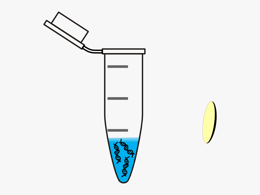 Eppendorf Dna, Transparent Clipart