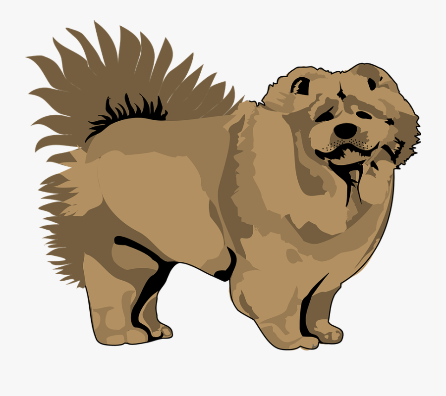 Pet Clipart Animal Fur - Chow Chow Vector Png, Transparent Clipart