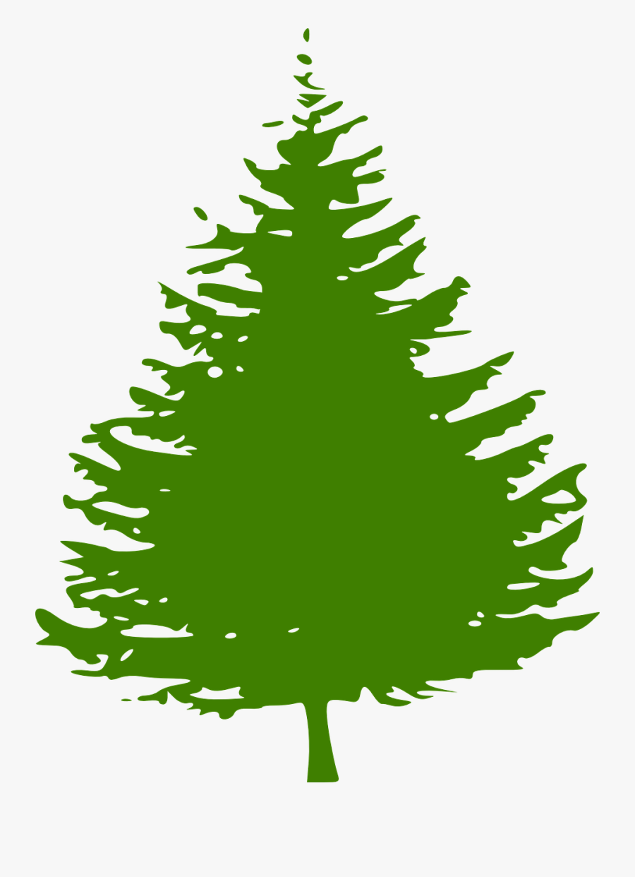 Pine, Tree, Christmas Tree, Green, Ecology, Environment - Green Pine Trees Clip Art, Transparent Clipart