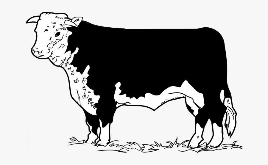 Beef Cow Clip Art, Transparent Clipart