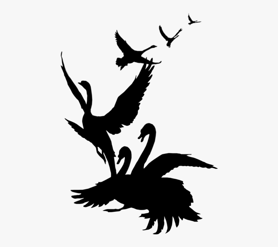 Swan Silhouette Clip Art Google Search Research Pinterest - Swan Flying Silhouette Transparent, Transparent Clipart