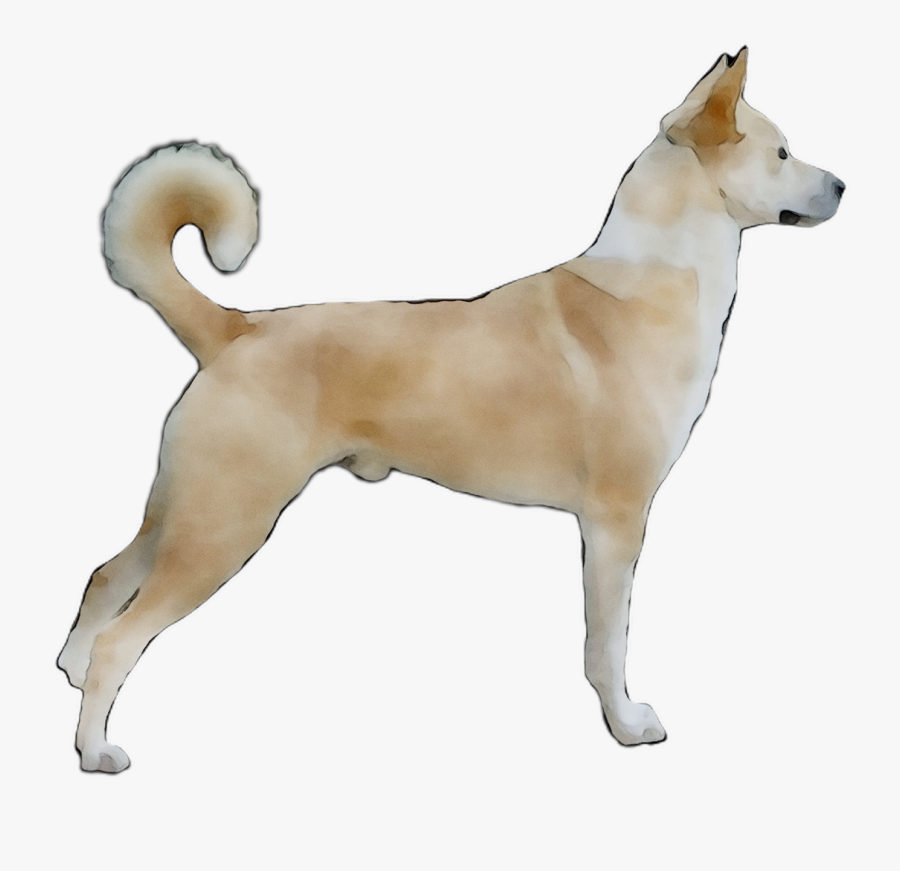 Ancient Jindo Dog Canaan Norwegian Buhund Korean Clipart - Jindo, Transparent Clipart