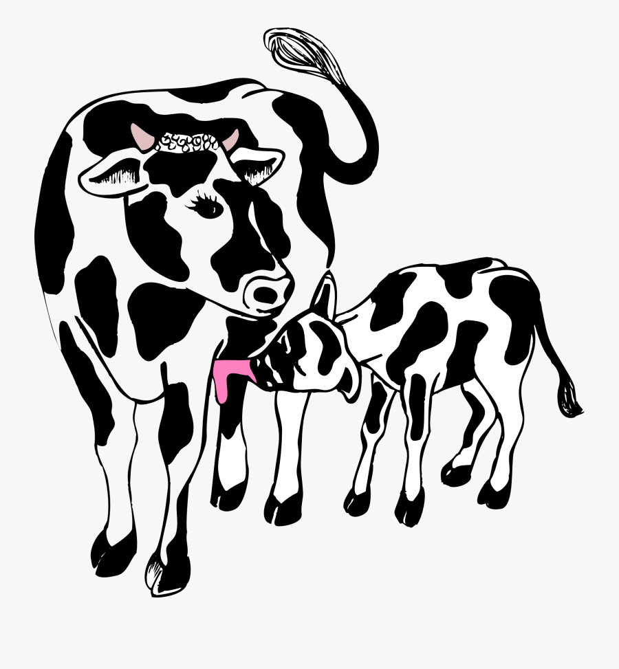 Cow And Calf Clipart Black And White, Transparent Clipart