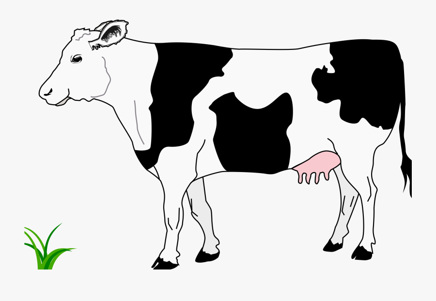 Art,livestock,monochrome Photography - Cow Black And White Png, Transparent Clipart
