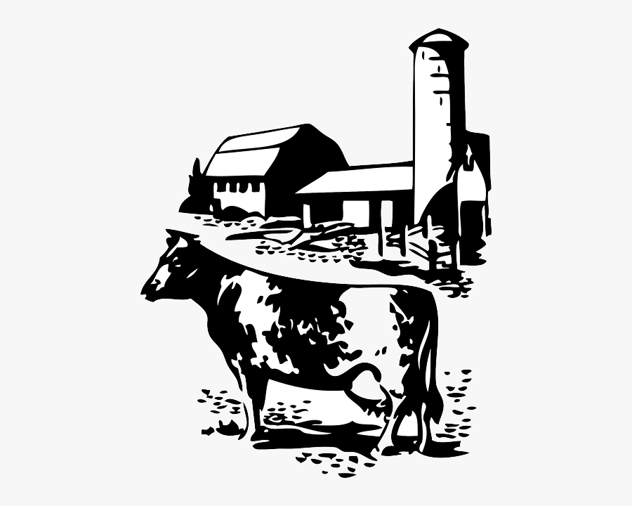 Cow Farm Clip Art, Transparent Clipart