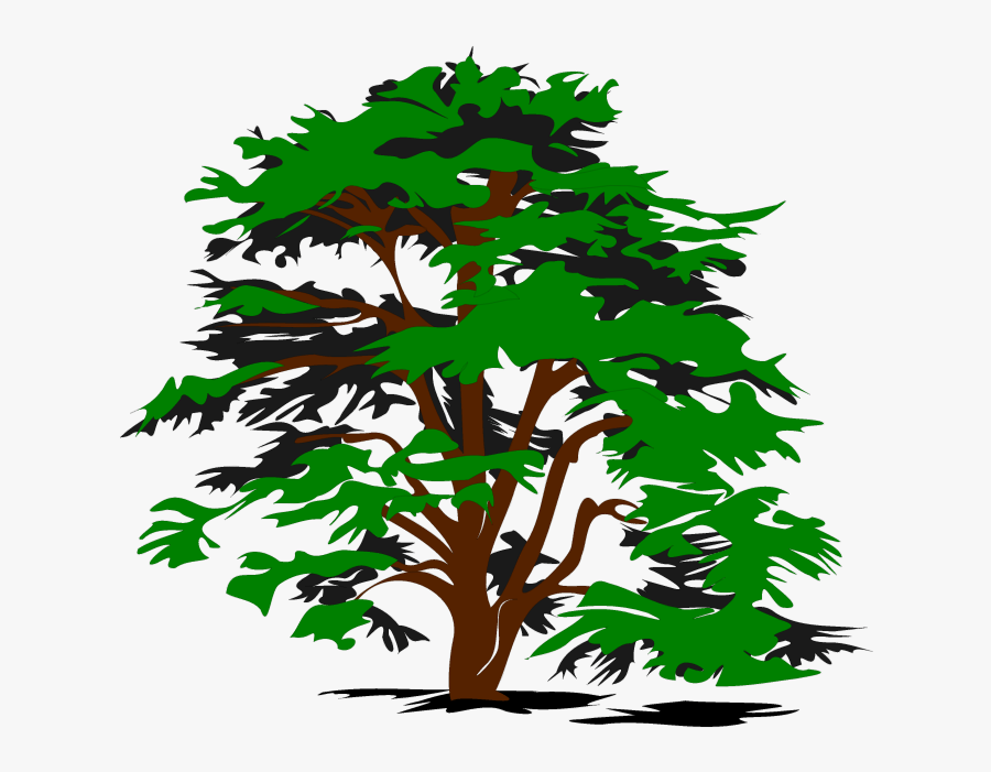 Pine - Tree - Clipart - Png - Cedar Tree Clip Art, Transparent Clipart