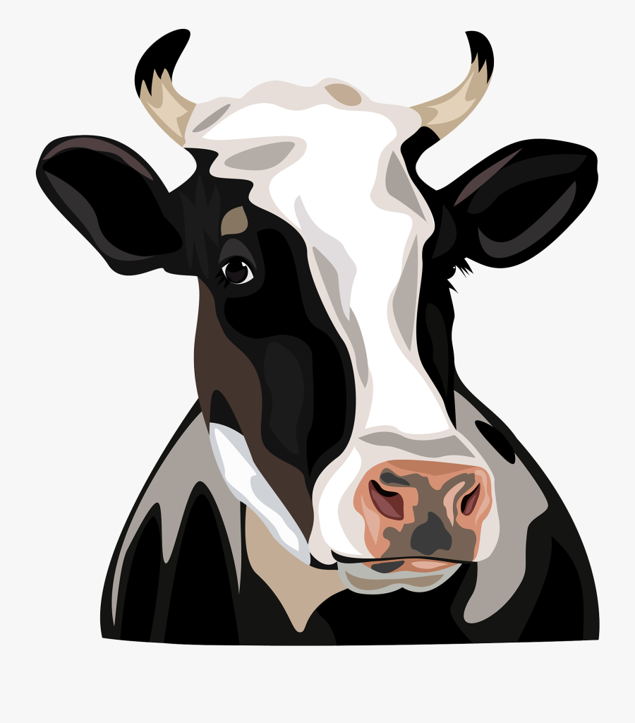 Holstein Friesian Cattle Clip Art - Cow Head Vector Png, Transparent Clipart