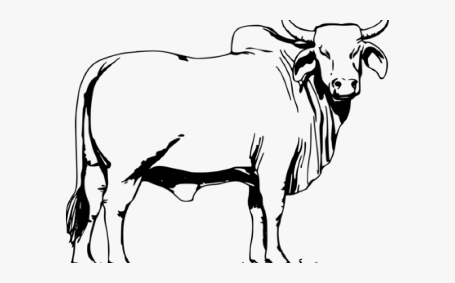 Ox Clipart Angry Cow - Rashtriya Gokul Mission Logo, Transparent Clipart