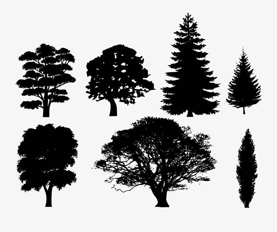 Forest Silhouette Vector - Tree Shape, Transparent Clipart