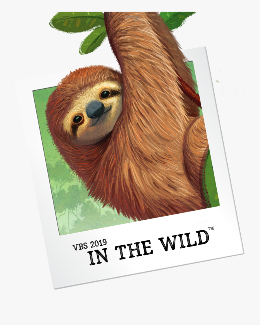 Vbs 2019 In The Wild, Transparent Clipart