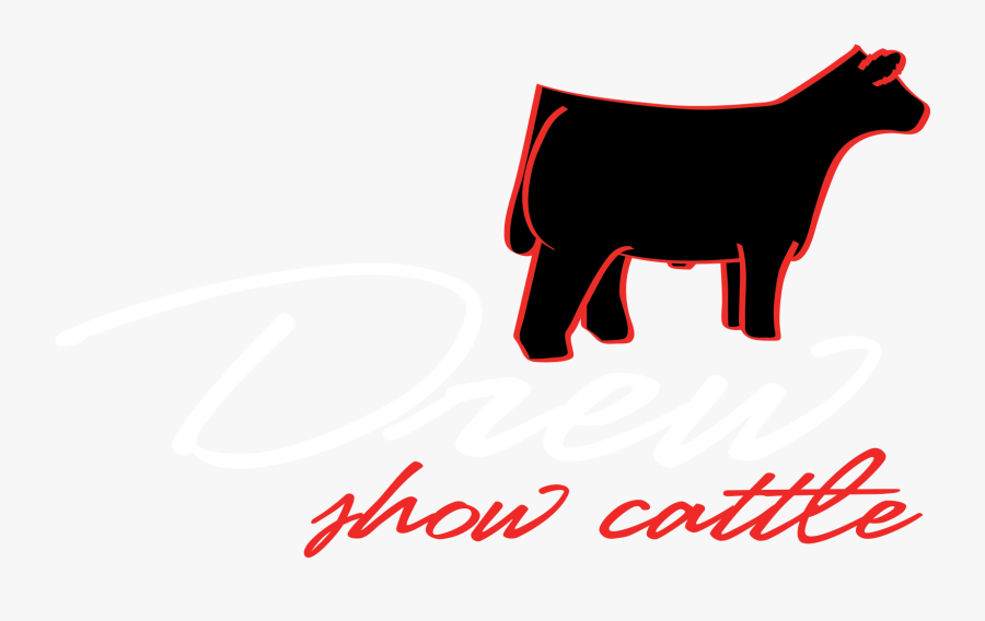 Cow Clip Art Logo - Show Cattle Logo, Transparent Clipart