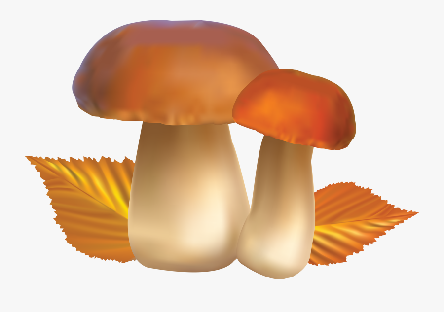Mushroom Clipart Bing Images Mushrooms Image - Mushroom Clipart, Transparent Clipart